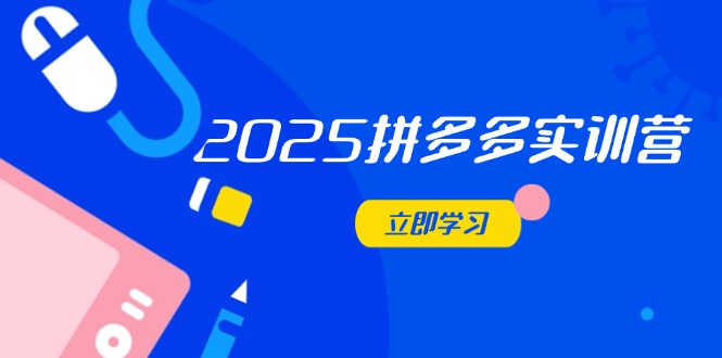 2025拼多多实训营：深度剖析运营关键，助力电商人快速提升-网创资源