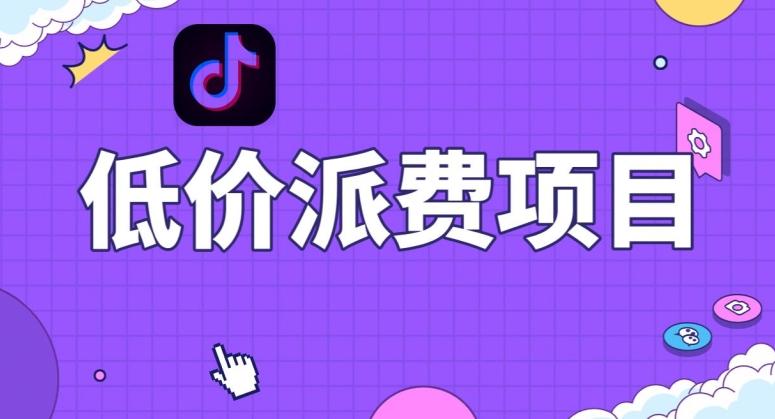 抖音低价派单项目，0门槛，日入1000+很轻松，小白可操作【揭秘】-网创资源