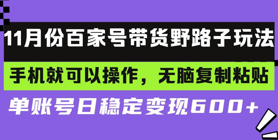 百家号带货野路子玩法 手机就可以操作，无脑复制粘贴 单账号日稳定变现...-网创资源