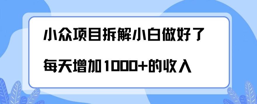 小众项目拆解，小白做好了每天可增加1000多的收入-网创资源