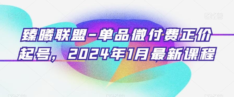 臻曦联盟-单品微付费正价起号，2024年1月最新课程-网创资源