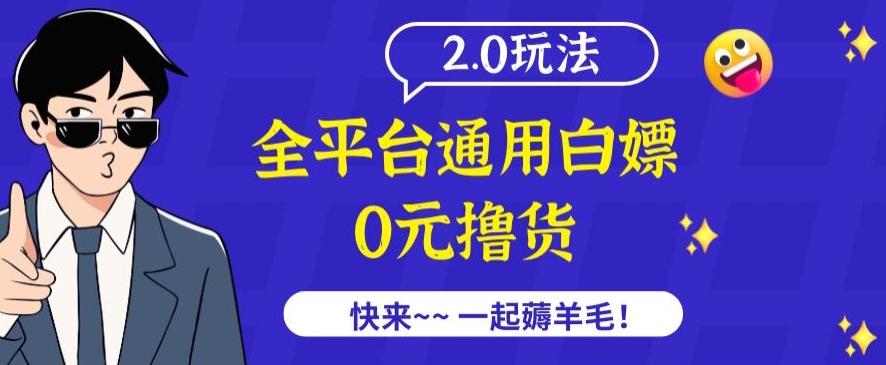外面收费2980的全平台通用白嫖撸货项目2.0玩法【仅揭秘】-网创资源