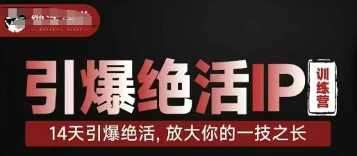 引爆绝活IP训练营，14天引爆绝活，放大你的一技之长-网创资源