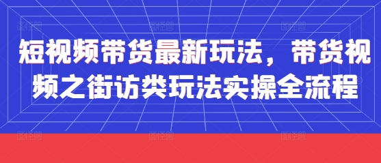 短视频带货最新玩法，带货视频之街访类玩法实操全流程-网创资源