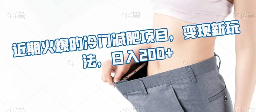 近期火爆的冷门减肥项目，变现新玩法，日入200+-网创资源