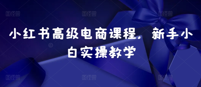 小红书高级电商课程，新手小白实操教学-网创资源