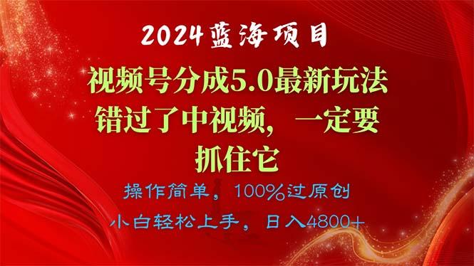 2024蓝海项目，视频号分成计划5.0最新玩法，错过了中视频，一定要抓住…-网创资源