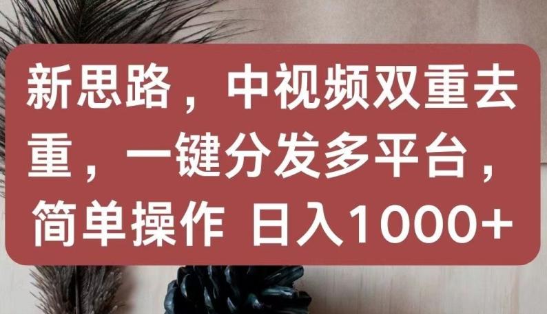 新思路，中视频双重去重，一键分发多平台，简单操作，日入1000+【揭秘】-网创资源