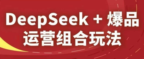DeepSeek+爆品运营组合玩法，2025淘系精品课-网创资源
