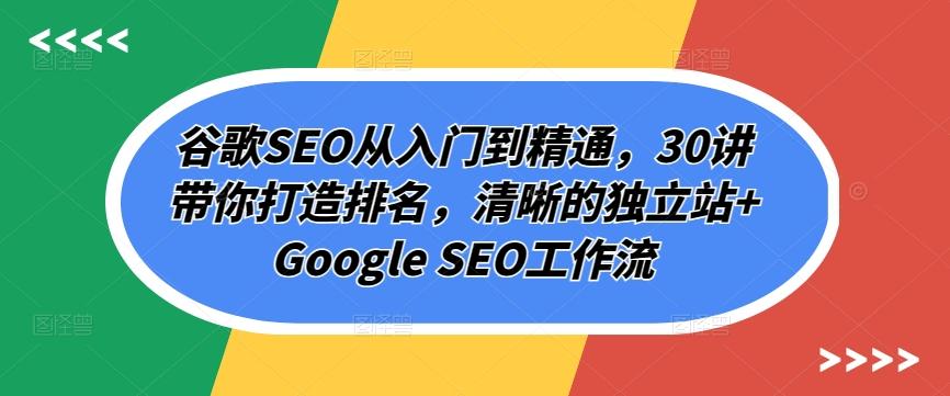 谷歌SEO从入门到精通，30讲带你打造排名，清晰的独立站+Google SEO工作流-网创资源