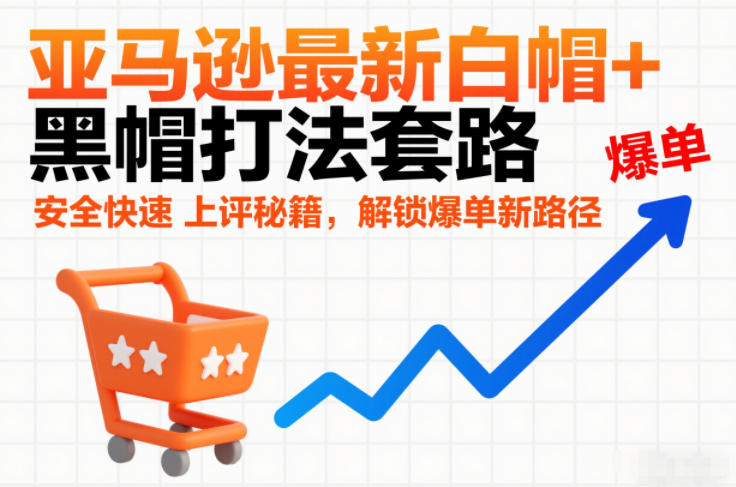 亚马逊最新白帽+黑帽打法套路，安全快速上评秘籍，解锁爆单新路径-网创资源