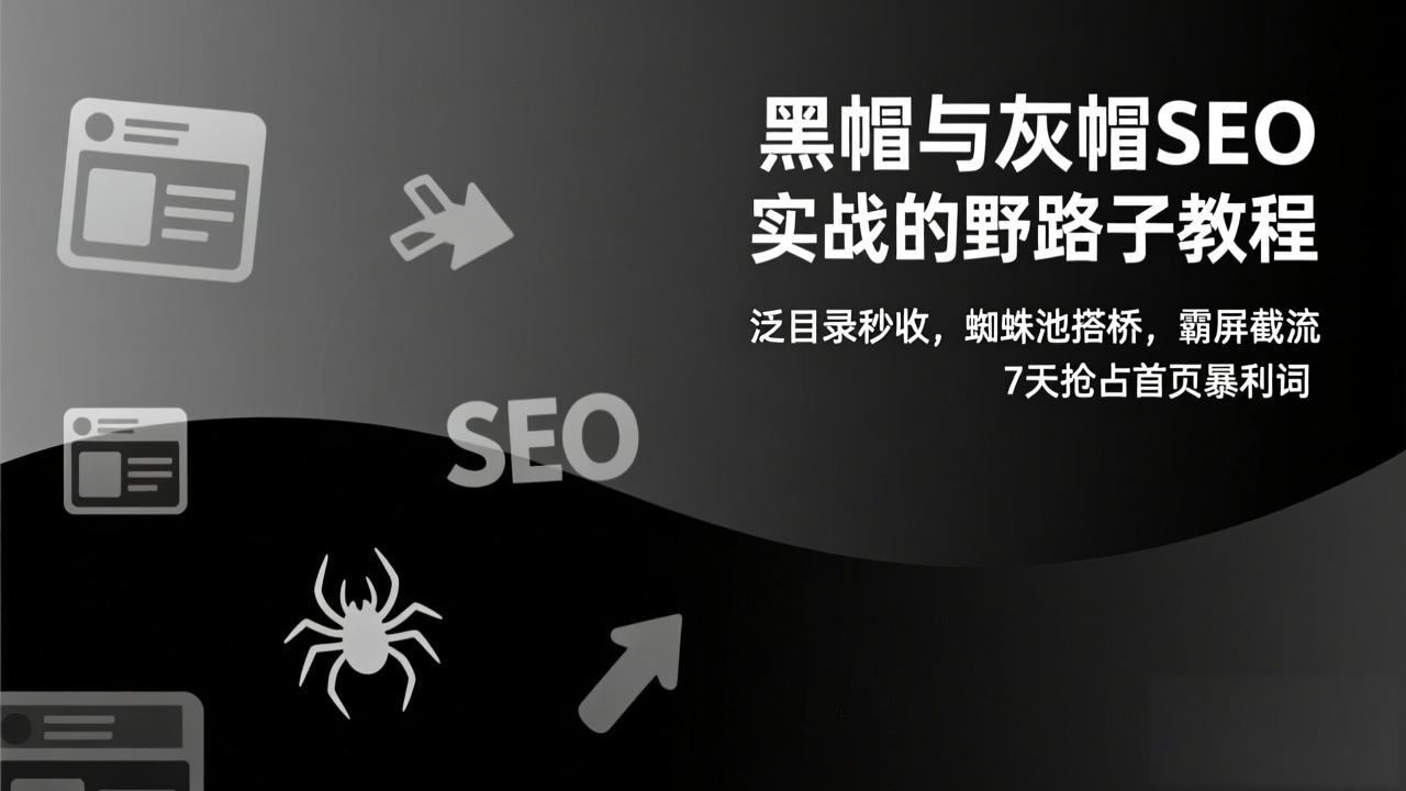 黑帽与灰帽SEO实战的野路子教程：泛目录秒收，蜘蛛池搭桥，霸屏截流，7天抢占首页暴利词-网创资源