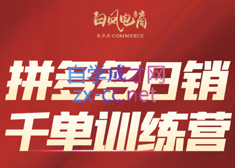 白凤电商·拼多多日销千单训练营(更新4月)-网创资源