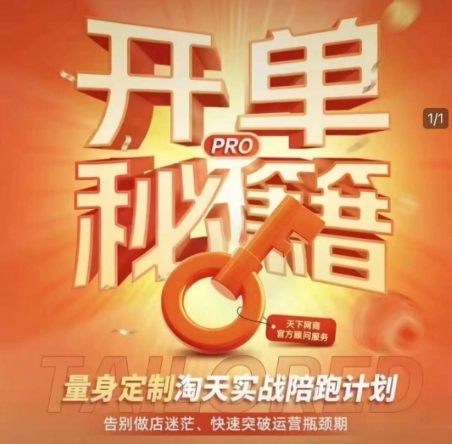 淘宝开单秘籍PRO，量身定制淘天实战陪跑计划，告别做店迷茫、快速突破运营瓶颈期(更新)-网创资源