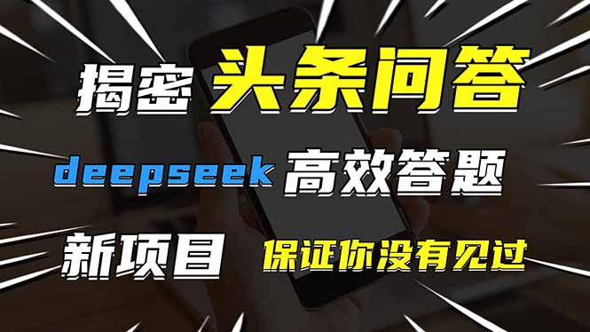 头条问答，刚出的新玩法！保证你没见过！用DeepSeek去高效答题，一个账…-网创资源
