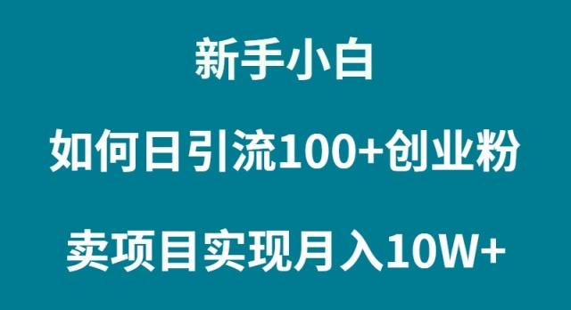 (9556期)新手小白如何通过卖项目实现月入10W+-网创资源