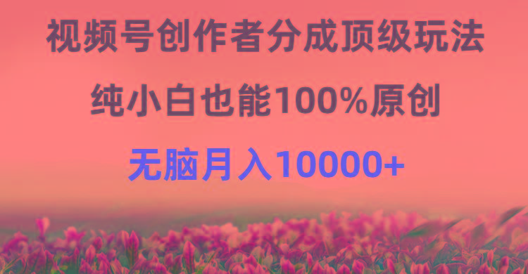 (9608期)视频号创作者分成顶级玩法，纯小白也能100%原创，无脑月入10000+-网创资源