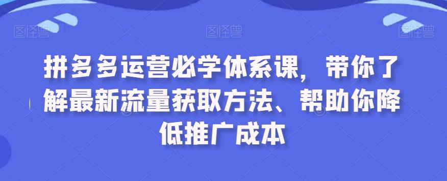 拼多多运营必学体系课，带你了解最新流量获取方法、帮助你降低推广成本-网创资源