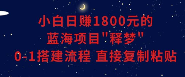 小白能日赚1800元的蓝海项目”释梦”0-1搭建流程可直接复制粘贴长期做【揭秘】-网创资源