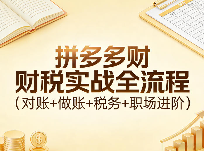 拼多多财税实战全流程(对账+做账+税务+职场进阶)-网创资源