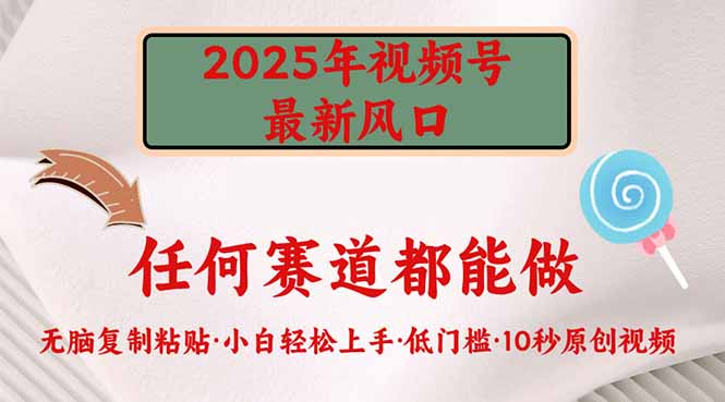 2025年视频号新风口，低门槛只需要无脑执行-网创资源