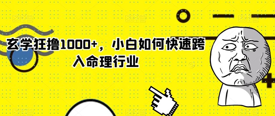 玄学狂撸1000+，小白如何快速跨入命理行业-网创资源