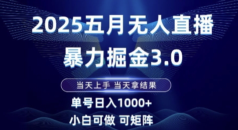 2025五月无人直播暴力掘金3.0，当天上手，当天拿结果，单号日入1k+小白可做可矩阵【揭秘】-网创资源
