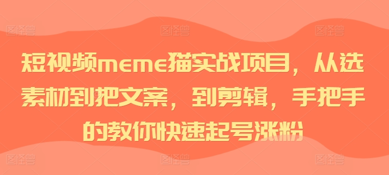 短视频meme猫实战项目，从选素材到把文案，到剪辑，手把手的教你快速起号涨粉-网创资源