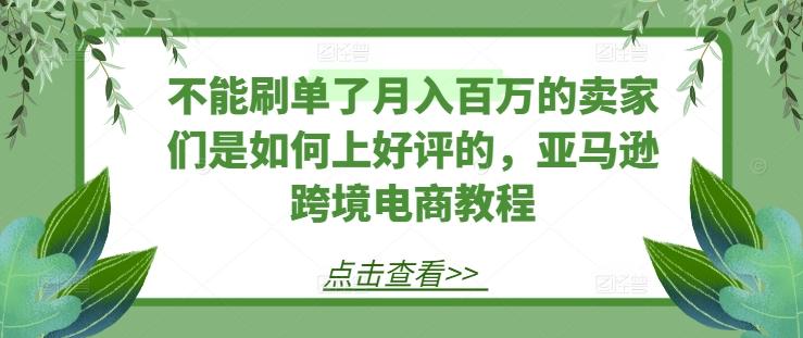 不能刷单了月入百万的卖家们是如何上好评的，亚马逊跨境电商教程-网创资源