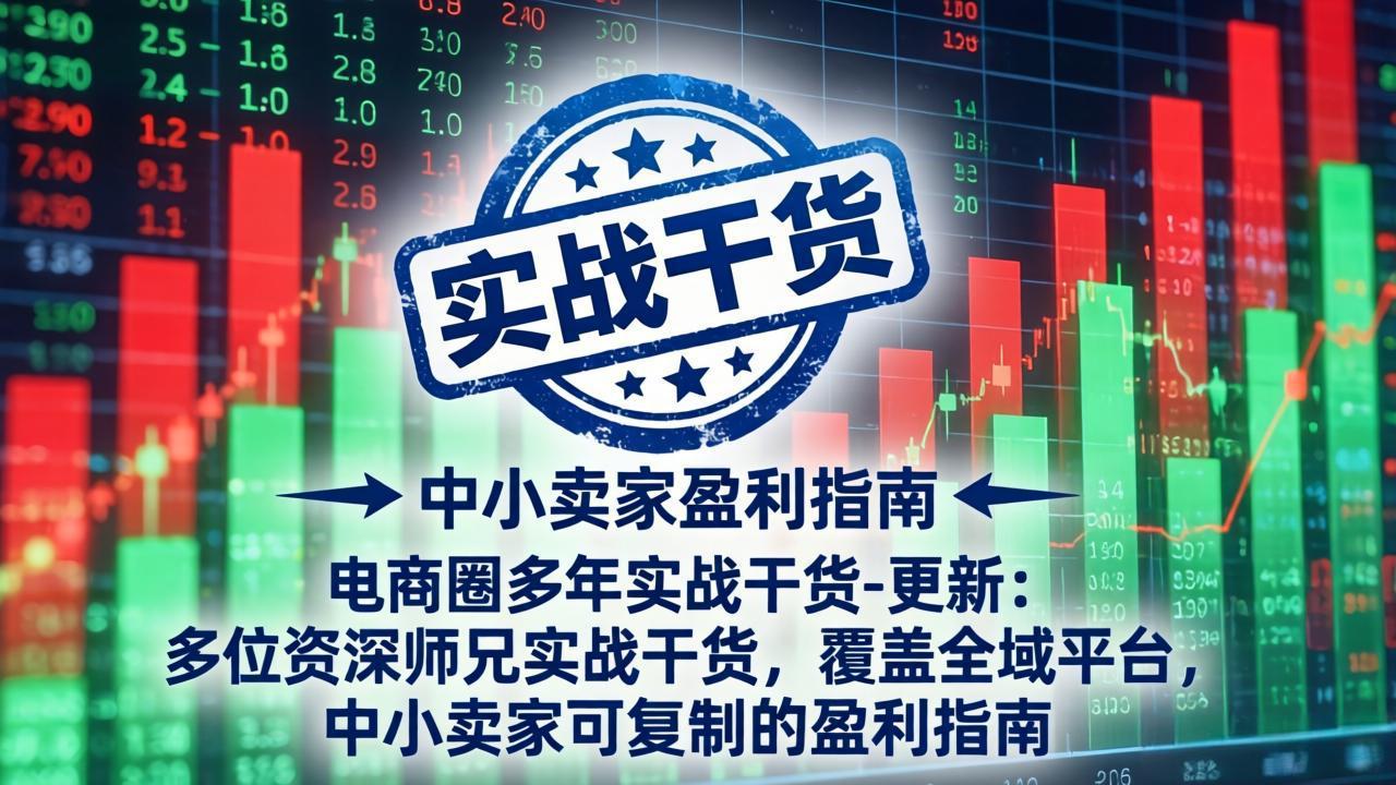 电商圈多年实战干货-更新4月：多位资深师兄实战干货，覆盖全域平台，中小卖家可复制的盈利指南-网创资源