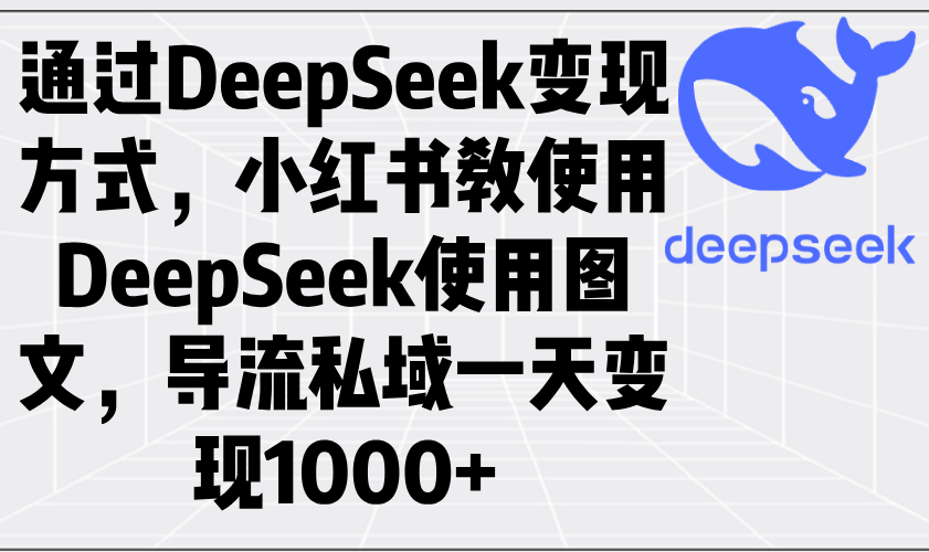 通过DeepSeek变现方式，小红书教使用DeepSeek图文，导流私域一天变现1000+-网创资源