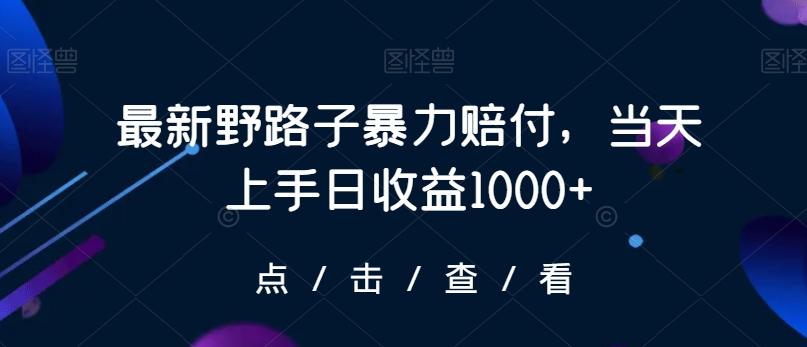 最新野路子暴力赔付，当天上手日收益1000+【仅揭秘】-网创资源