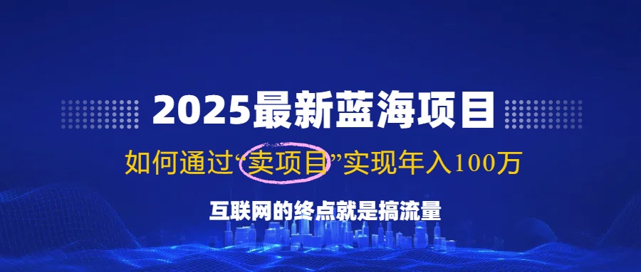 2025最新蓝海项目，零门槛轻松复制，月入10万+，新手也能操作！-网创资源