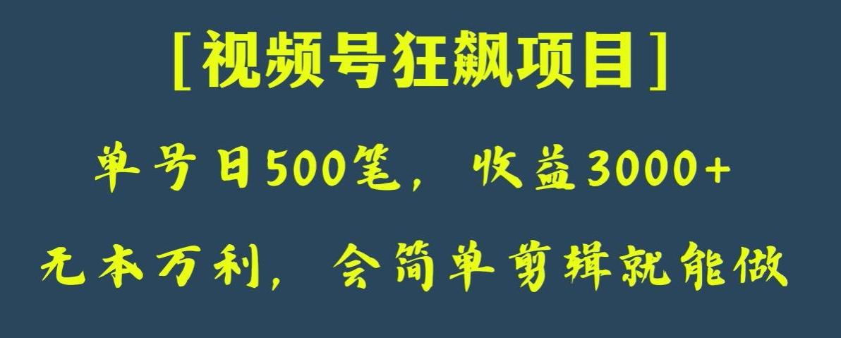 日收款500笔，纯利润3000+，视频号狂飙项目，会简单剪辑就能做【揭秘】-网创资源