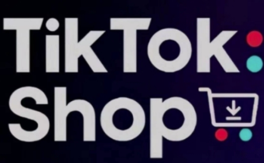 TikTokShop跨境电商0-1实战，手把手教你低成本启动海外市场(更新)-网创资源
