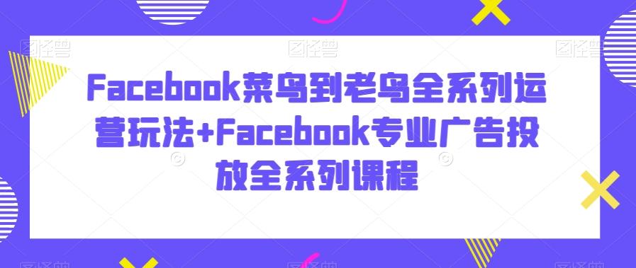 Facebook菜鸟到老鸟全系列运营玩法+Facebook专业广告投放全系列课程-网创资源