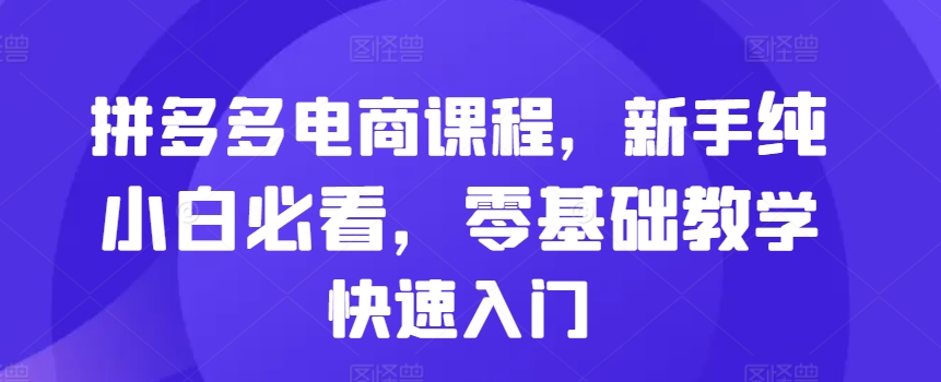拼多多电商课程，新手纯小白必看，零基础教学快速入门-网创资源