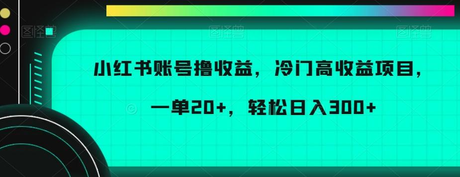 小红书账号撸收益，冷门高收益项目，一单20+，轻松日入300+【揭秘】-网创资源
