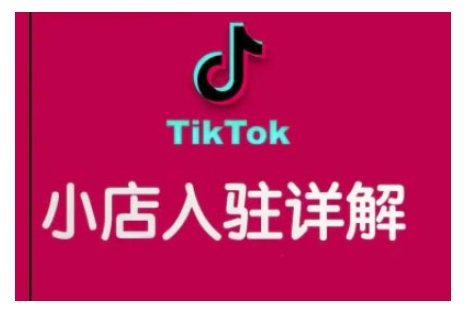 TikTok跨境小店运营全攻略，帮助你独立运营TK跨境小店的能力，实现销量增长-网创资源