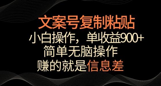 文案号掘金，简单复制粘贴，小白操作，单作品收益900+【揭秘】-网创资源