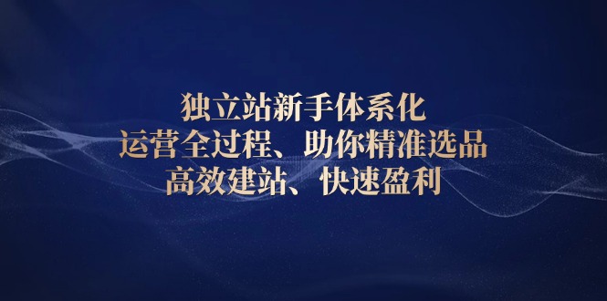 独立站新手体系化 运营全过程，助你精准选品、高效建站、快速盈利-网创资源