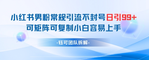 小红书男粉常规引流不封号日引99+变现简单 可矩阵可复制小白容易上手-网创资源