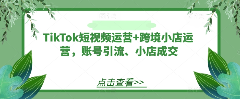 TikTok短视频运营+跨境小店运营，账号引流、小店成交-网创资源