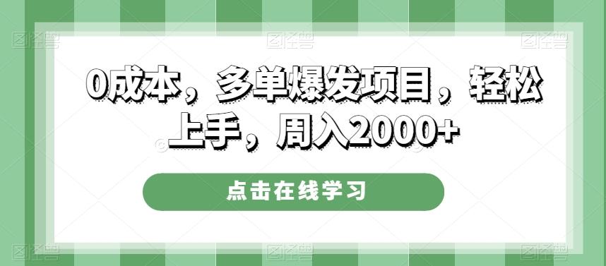 0成本，多单爆发项目，轻松上手，周入2000+-网创资源
