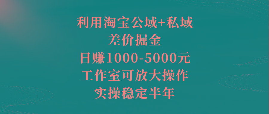 利用淘宝公域+私域差价掘金，日赚1000-5000元，工作室可放大操作，实操…-网创资源