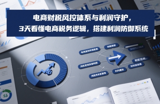 电商财税风控体系与利润守护，3天看懂电商税务逻辑，搭建利润防御系统-网创资源