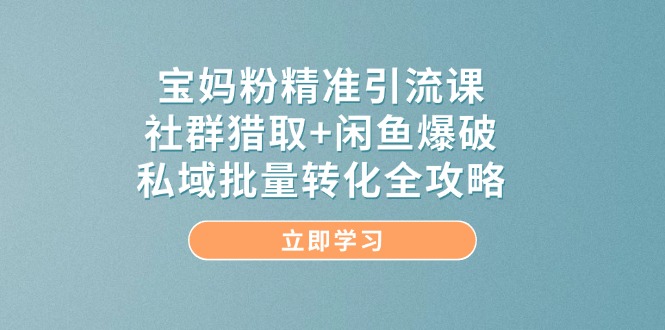 宝妈粉精准引流课，社群猎取+闲鱼爆破，私域批量转化全攻略-网创资源