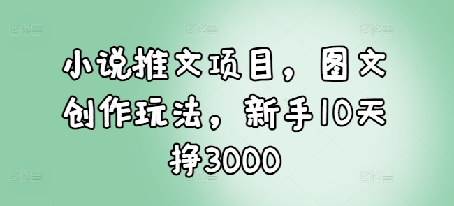 小说推文项目，图文创作玩法，新手10天挣3000-网创资源