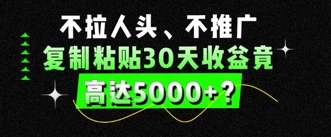 不拉人头、不推广，复制粘贴30天收益竟高达5000+？-网创资源