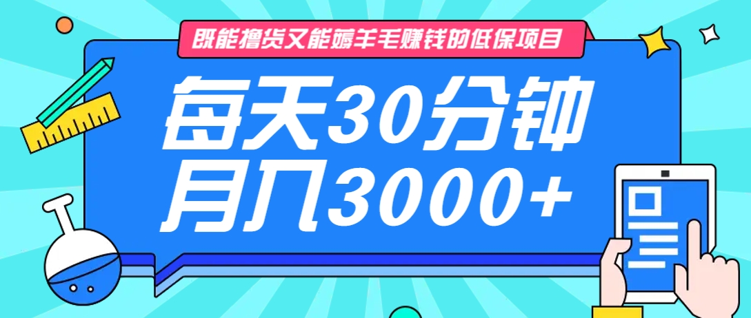 既能撸货又能赚钱的长期低保项目，每天30分钟，多号百分百稳定月入3000+！-网创资源